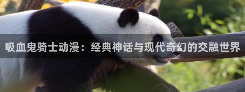 omofun动漫一个：吸血鬼骑士动漫：经典神话与现代奇幻的交融世界
